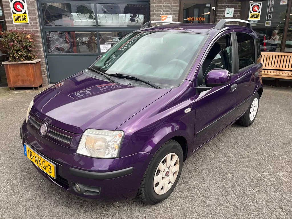 Fiat Panda 1.2 Emotion  Goed onderhouden!